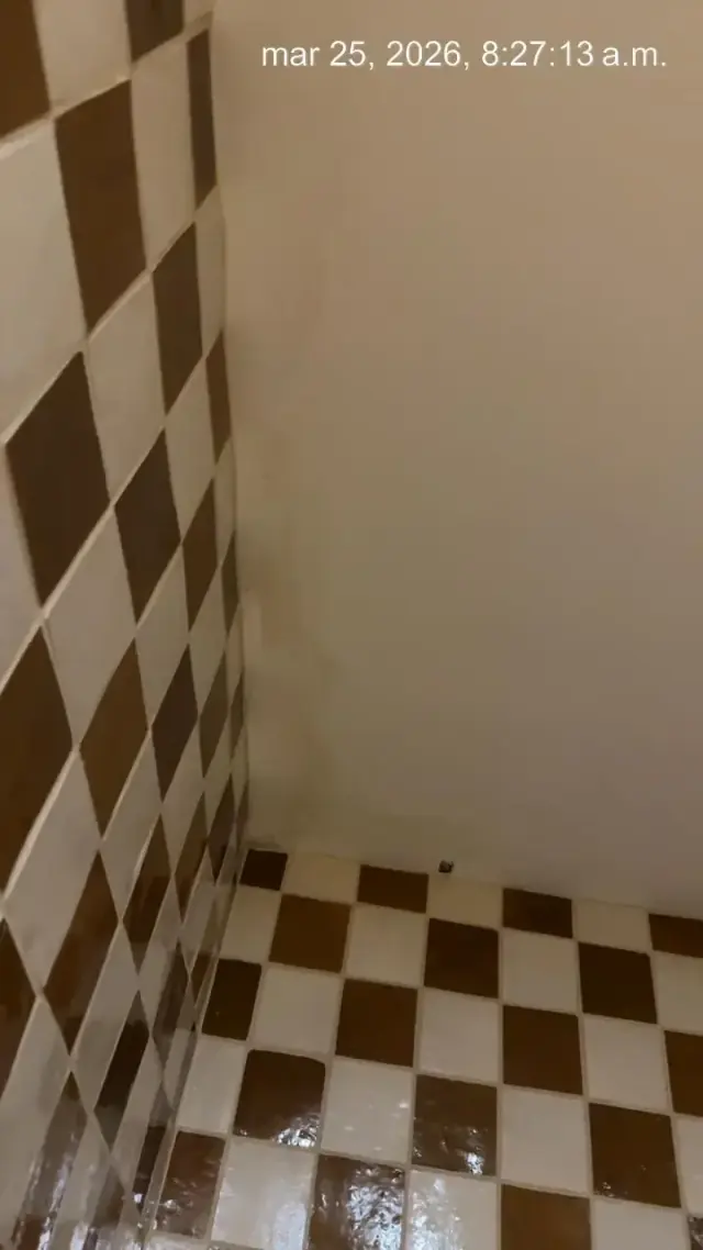 Checkered tile repair, 3100 NE 1st Ave, Miami