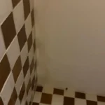 ligio-solutions-3100-ne-1st-ave-miami-checkered-tile-repair-26