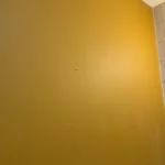 ligio-solutions-3100-ne-1st-ave-miami-wall-finish-painting-25